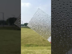 Grüne Baulösung Macrolux Polycarbonat Kompakt PC Prägete Sonnenblätter