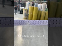 10 mm Twinwall UV-blockiertes Gewächshaus transparentes Polycarbonat Honigseheblatt