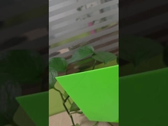 undurchsichtige grüne Polycarbonat-Vollplatte