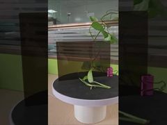 3 mm braunes Festpolykarbonatblatt Einseitig UV-Schutz