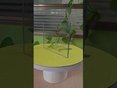 6mm klare Vollplatte