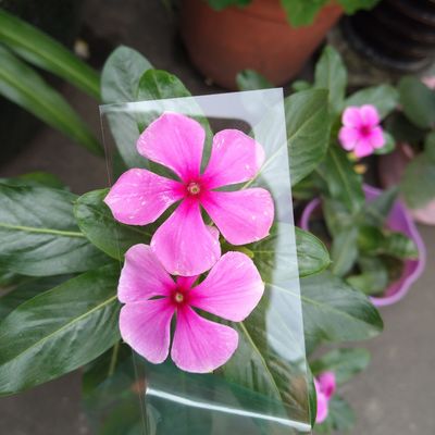 Ein guter Preis. Durchsichtige 1 mm Polycarbonat-PC-Platte für optische oder Drucktechnik Einlagene 1 mm Online