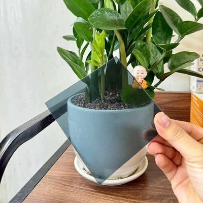 UV-beständige graue Polycarbonat-Massivplatte 1,0 mm - 18,0 mm Dicke