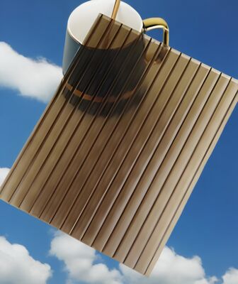 Schutzfolie aus PE-Folie auf beiden Seiten der Polycarbonat-Hohlkammerplatte, doppelwandig, leicht, langlebig, schlagfest